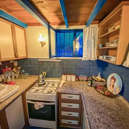 בית נופש Seafront Isolated Unique House אלאניה
